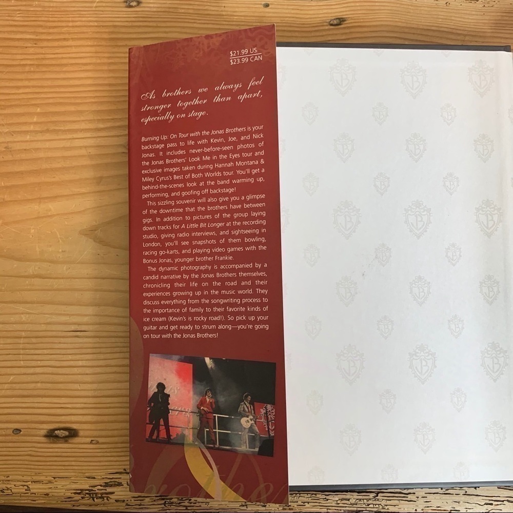 Disney Hyperion Jonas Brothers Burning Up book - Picture 5 of 16